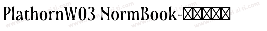 PlathornW03 NormBook字体转换